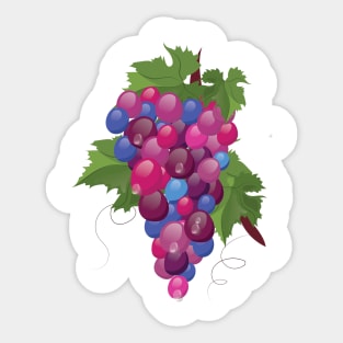 Grape Vine Sticker